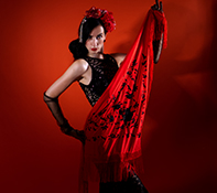 Flamenco dansen Purmerend